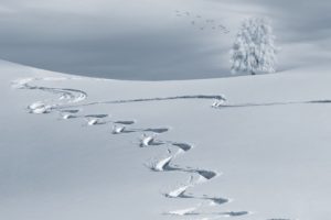 opening-skigebieden-intowintersport