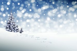 kerst in de sneeuw-intowintersport