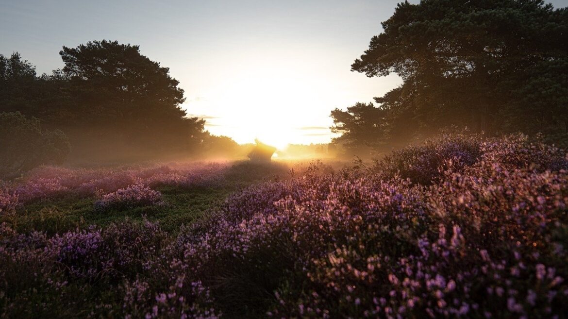 Drenthe ontdekken met je camper