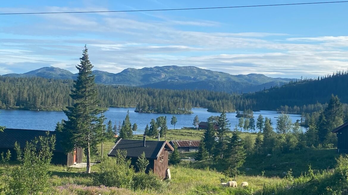 Roadtrippen door Noorwegen