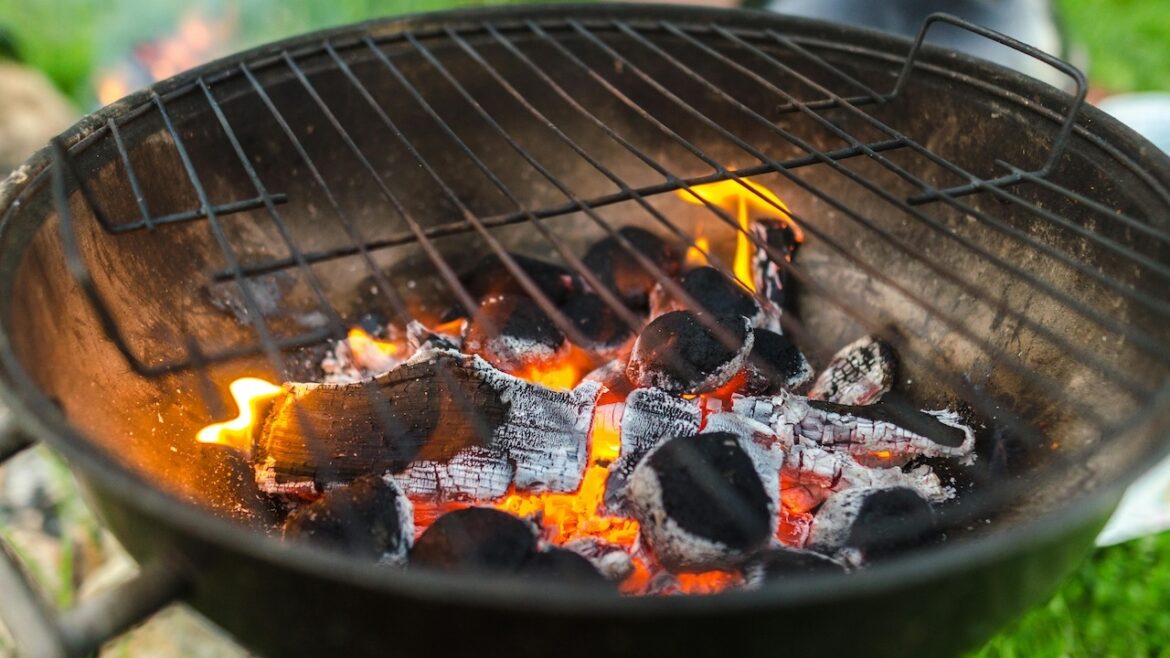 BBQ recept van de week: Gegrilde citroen-knoflook kipspiezen.