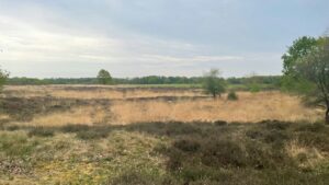 Drenthe-kamperen