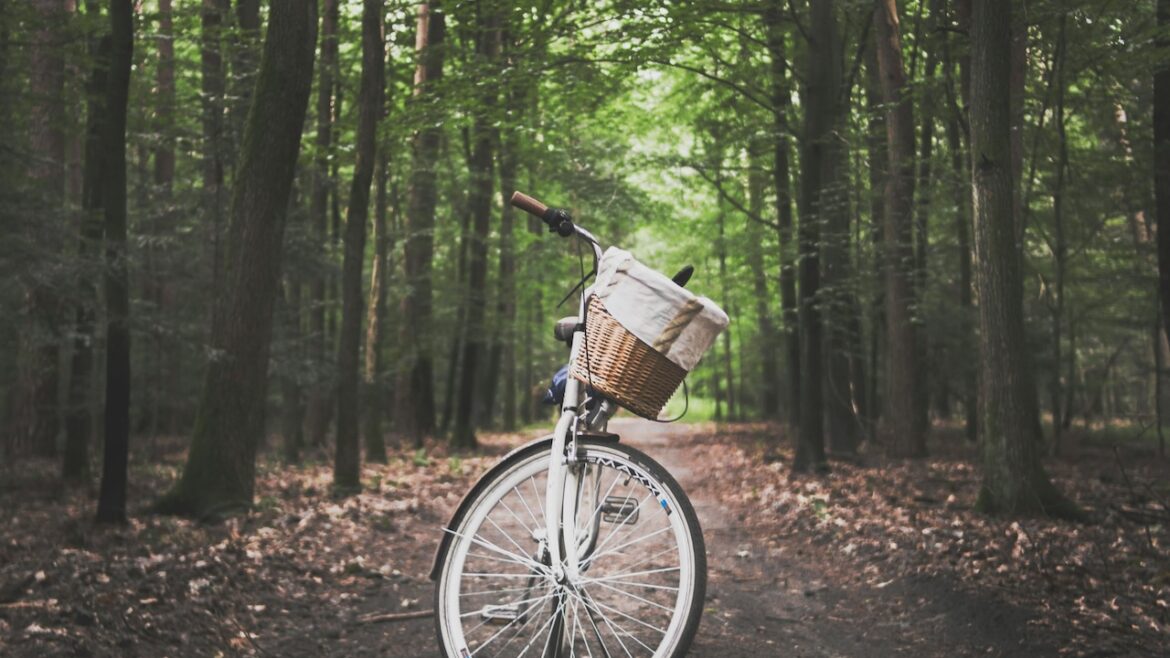 Kamperen en fietsen in Nederland