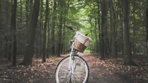 Fietsen-Nederland-Kamperen