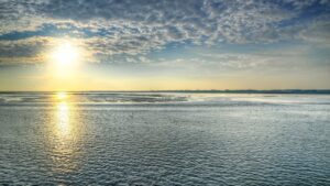 Waddenzee-Friesland