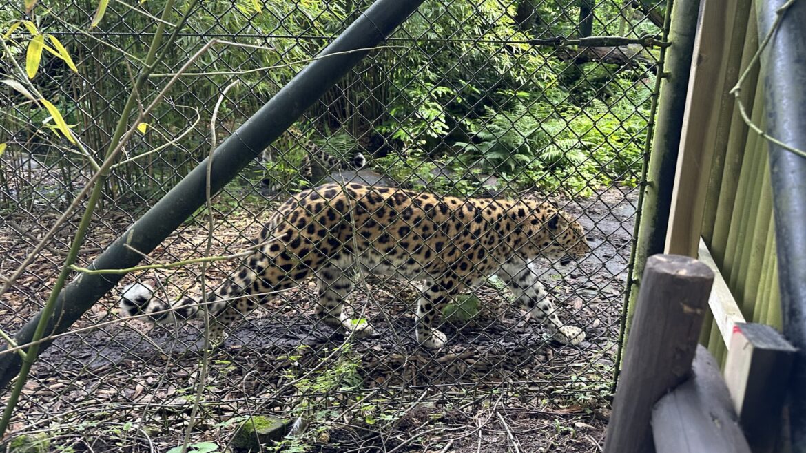Kamperen in Zuid-Holland