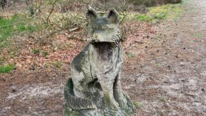 Hoge-Veluwe-Wolf