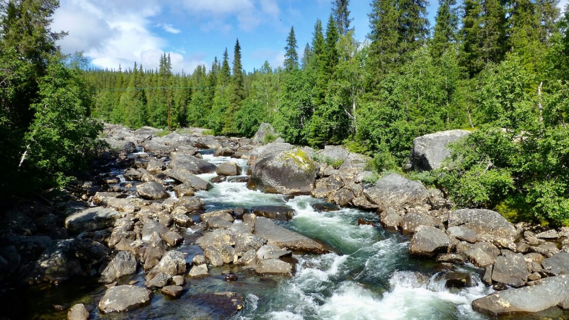 Traditionele Zweedse gerechten